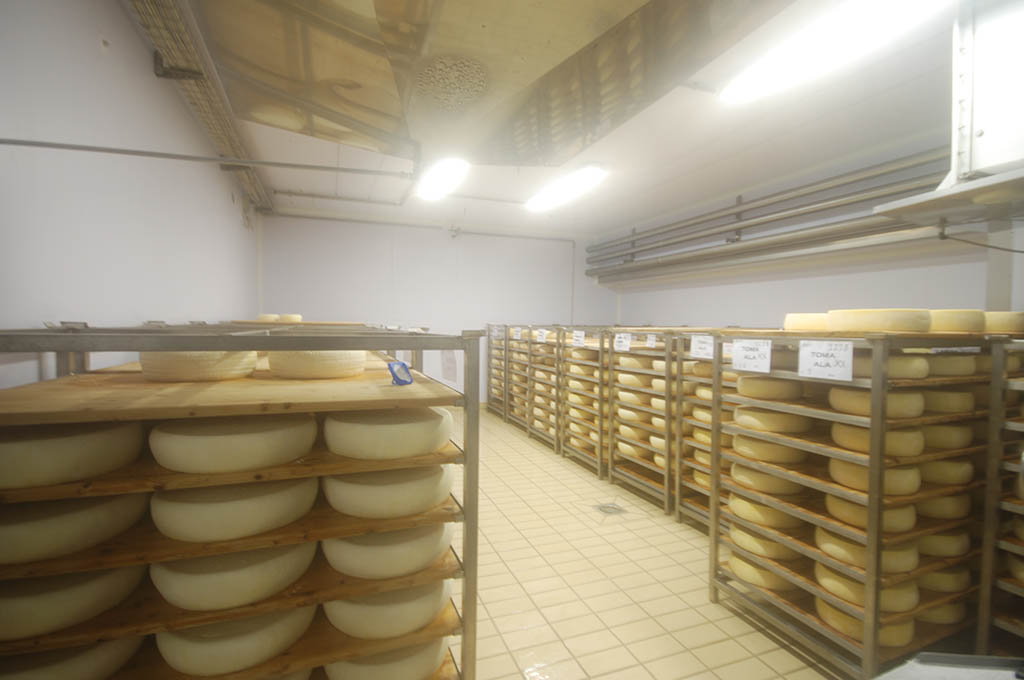 impianti stagionatura maturazione formaggi tipici