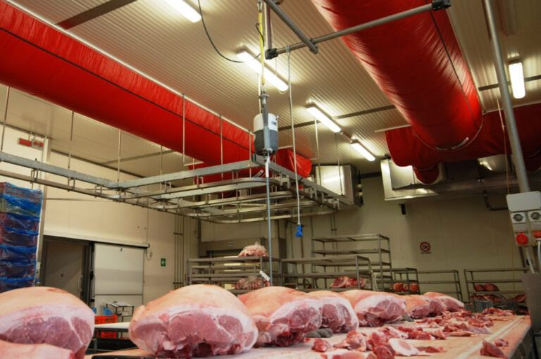 conservazione industriale della carne